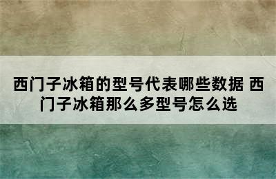 西门子冰箱的型号代表哪些数据 西门子冰箱那么多型号怎么选